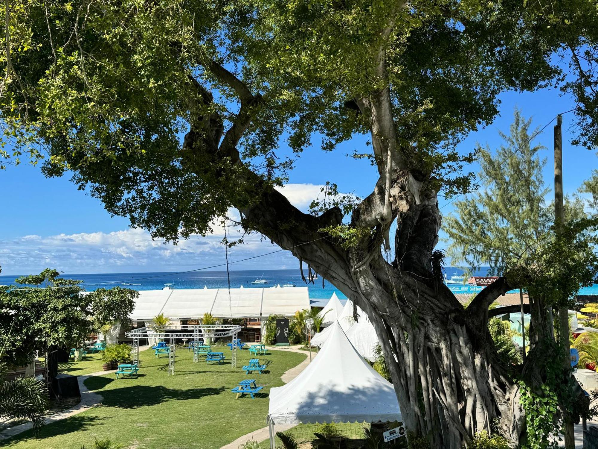 Eden On The Sea Otel Bridgetown Dış mekan fotoğraf